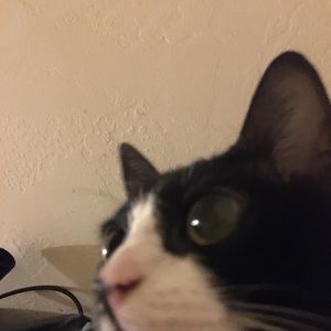 Meet your Posher, Cady